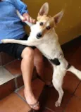 Menina