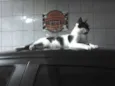 Romeu