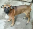 Tito