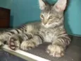 Pablo