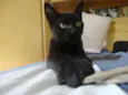 Flicker