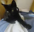 Flicker