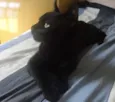 Flicker