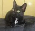 Flicker