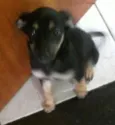 Natally