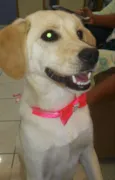 nina