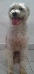 buster