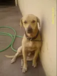 MARLEY