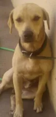 MARLEY