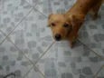 Meg