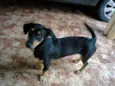 Lupita