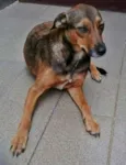 LELO/ REBECA