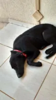 não sei