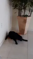 não sei