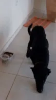 não sei