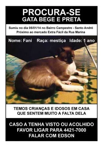 Gato ra a Mestiça idade 1 ano nome Fani