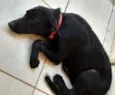 não sei