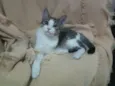 Mel