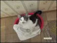 FRIDA E BEBÊS