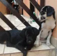 Lua e Sol