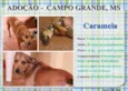 Caramela