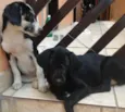 Lua e Sol