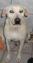 Billy