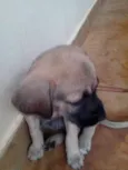 Ainda não tem