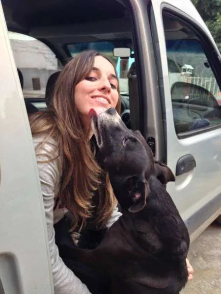 Cachorro ra a srd idade 6 ou mais anos nome Luna
