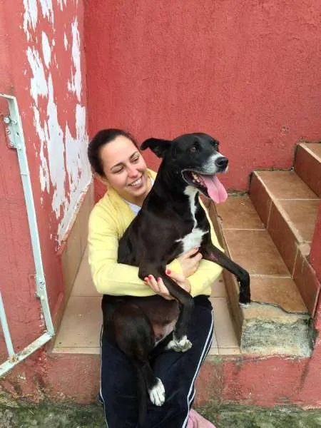 Cachorro ra a srd idade 6 ou mais anos nome Luna
