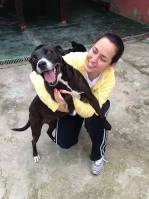 Cachorro raça srd idade 6 ou mais anos nome Luna