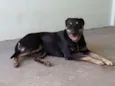MEG