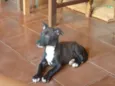 Indefinido