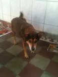 Menina