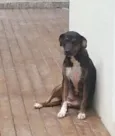 Sem nome ainda