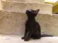 romeu e julieta