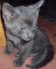 1-2-3-4