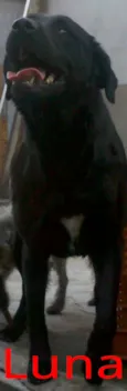 Luna