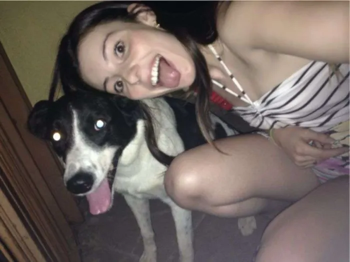 Cachorro ra a SRD lembra Border Collie idade 3 anos nome VACA