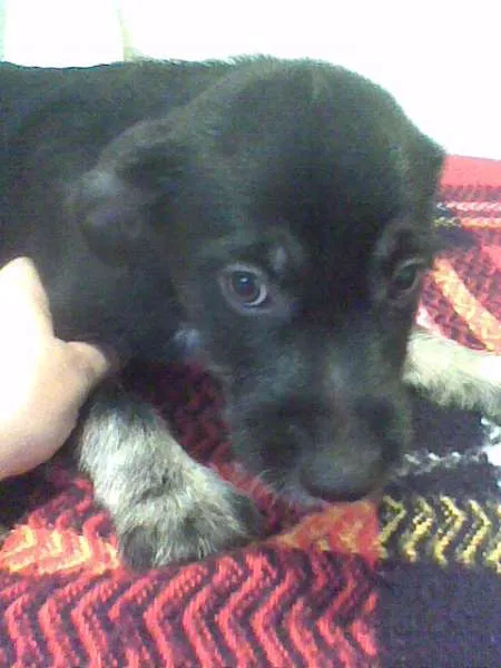 Apolo, Átila, Zeus,