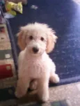 Billy