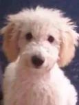 Billy
