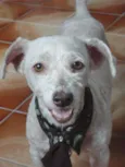 Tobby