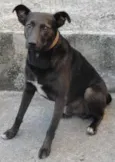 NEGÃO