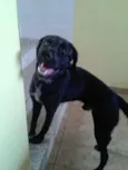 Sem Nome