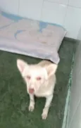 Lua