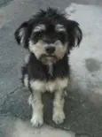 Luke