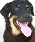 APOLO Parelheiros