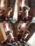 Billy