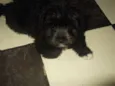 Marley